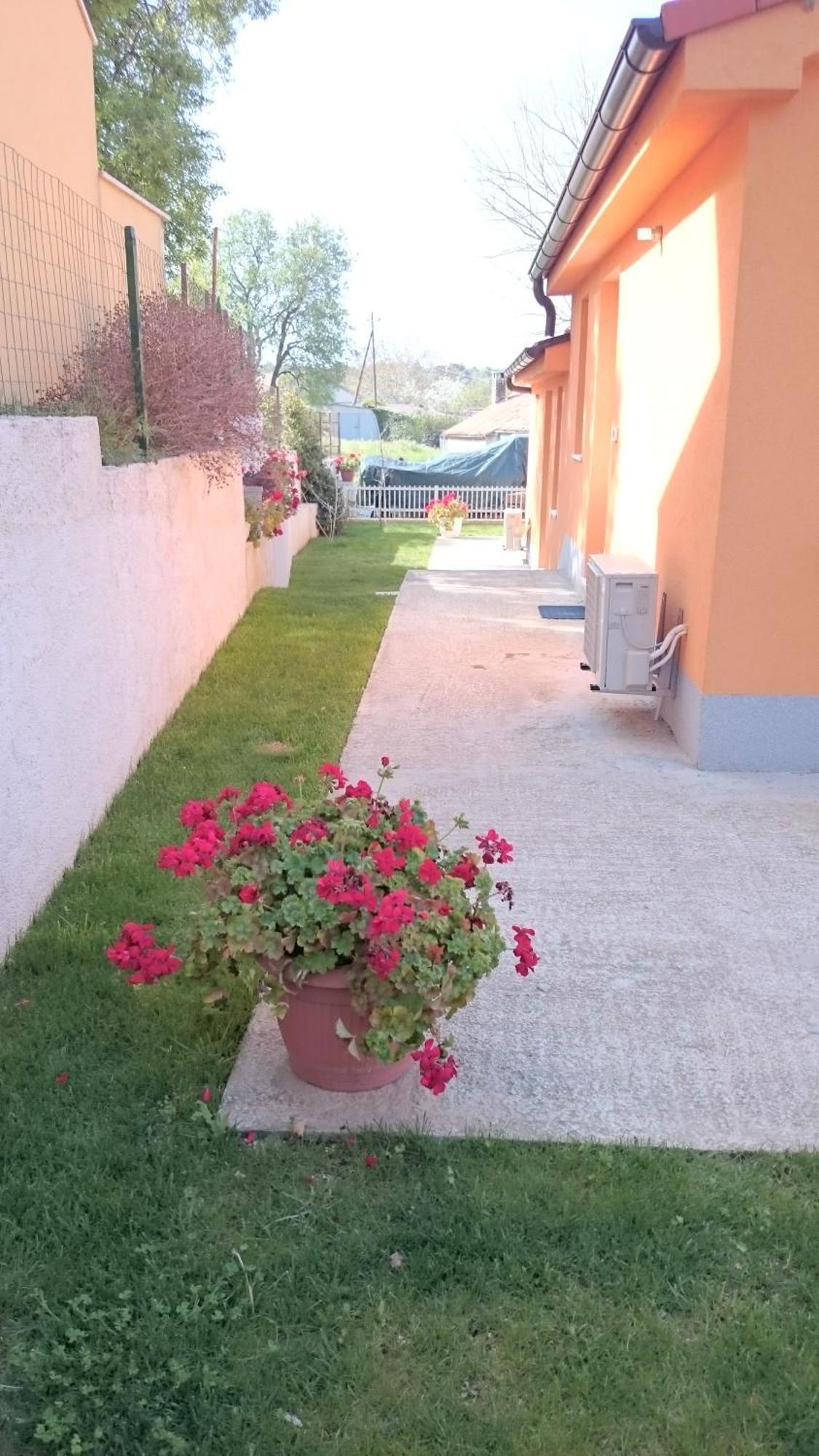 Apartment Shankini Пула Екстериор снимка